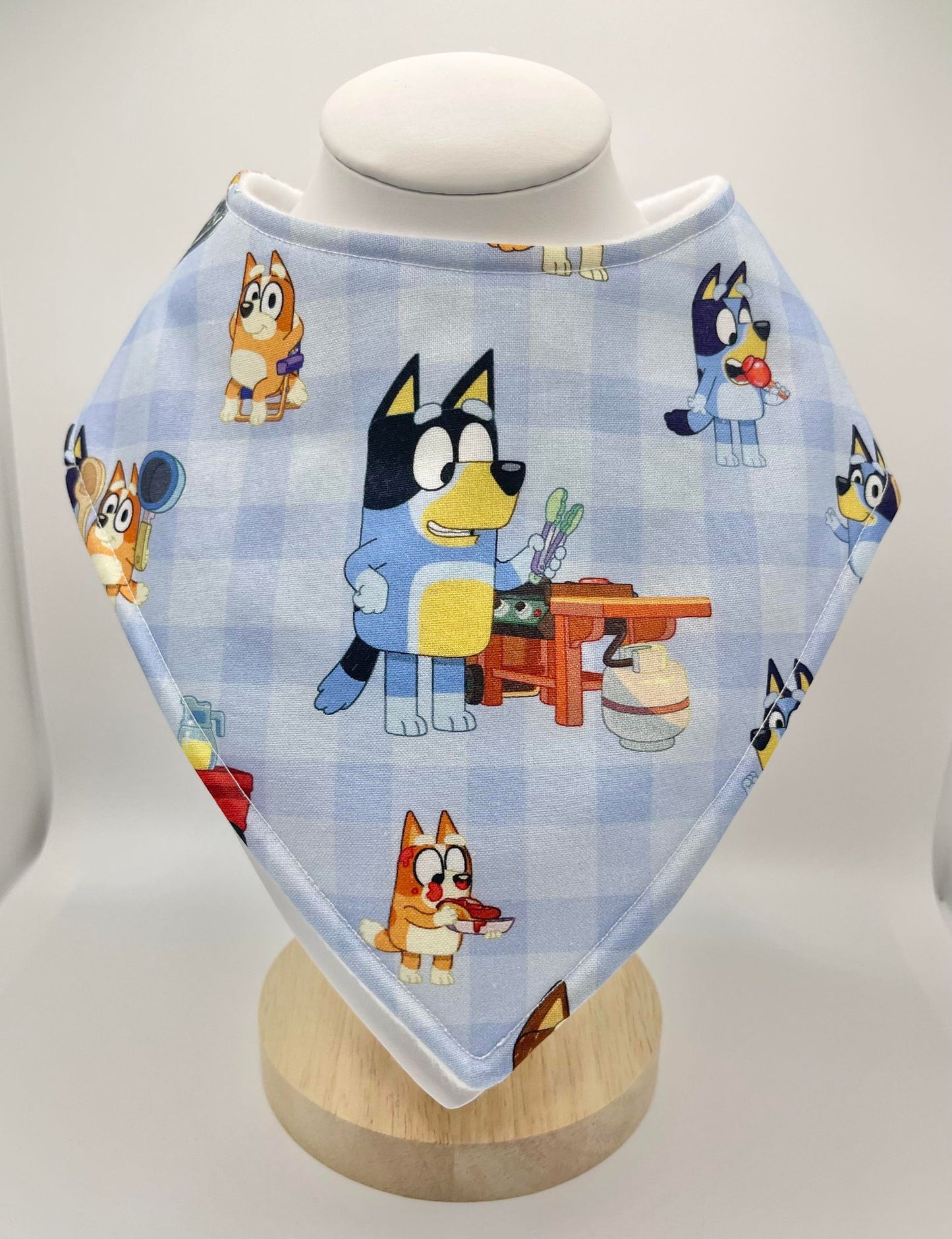 Dribble Bibs